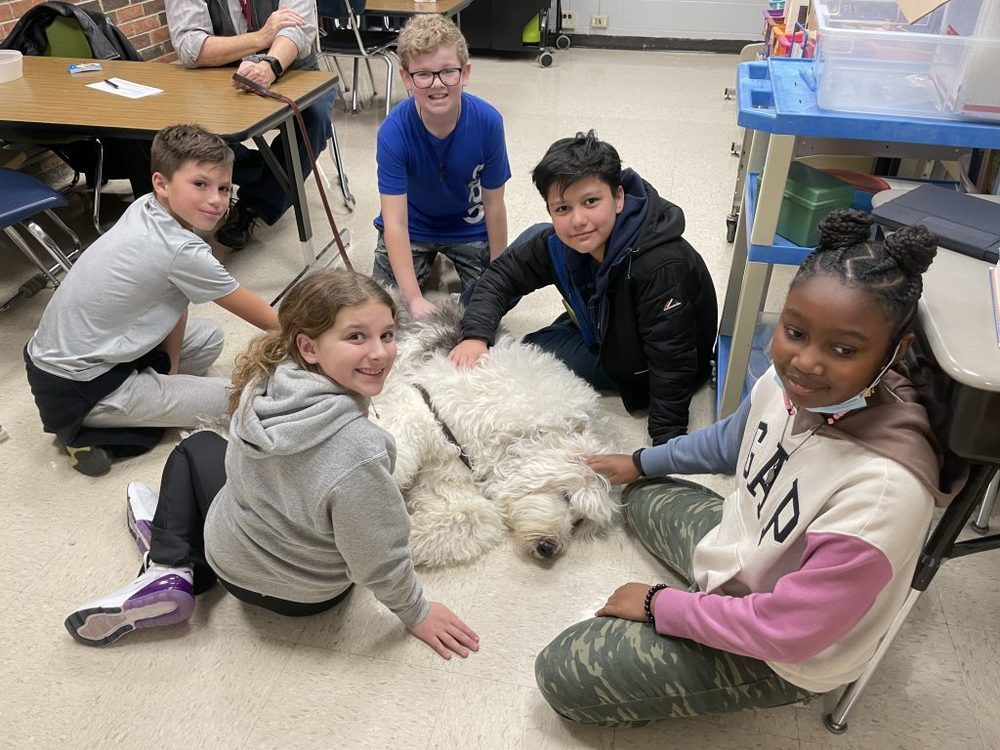 D128 Therapy Dogs
